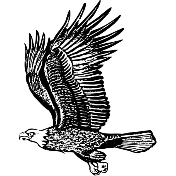 EAGLE012 Thumbnail
